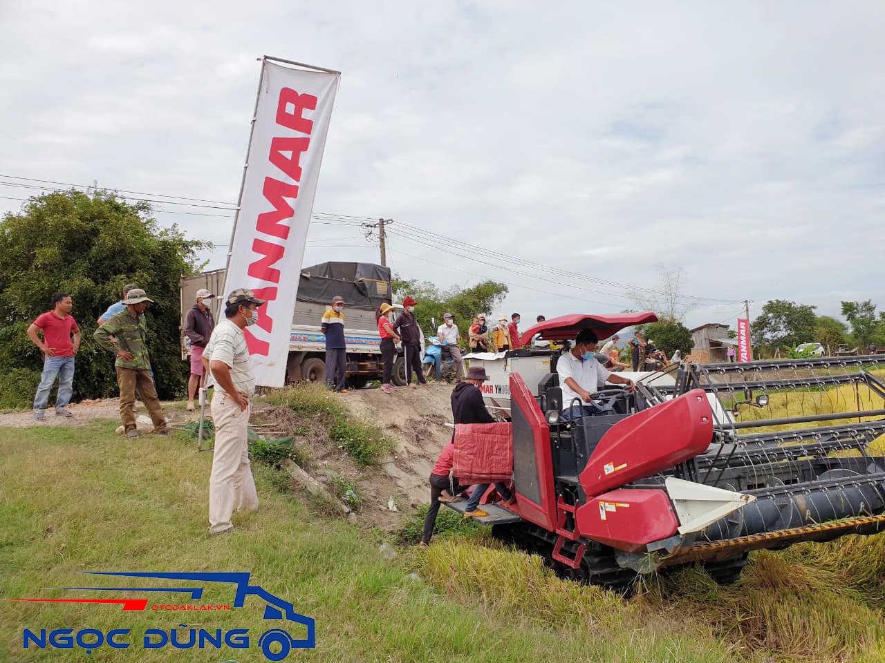 Hình ảnh máy gặt lúa tại Ngọc Dũng