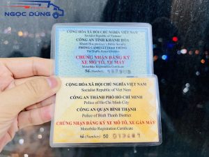 Cà vẹt xe