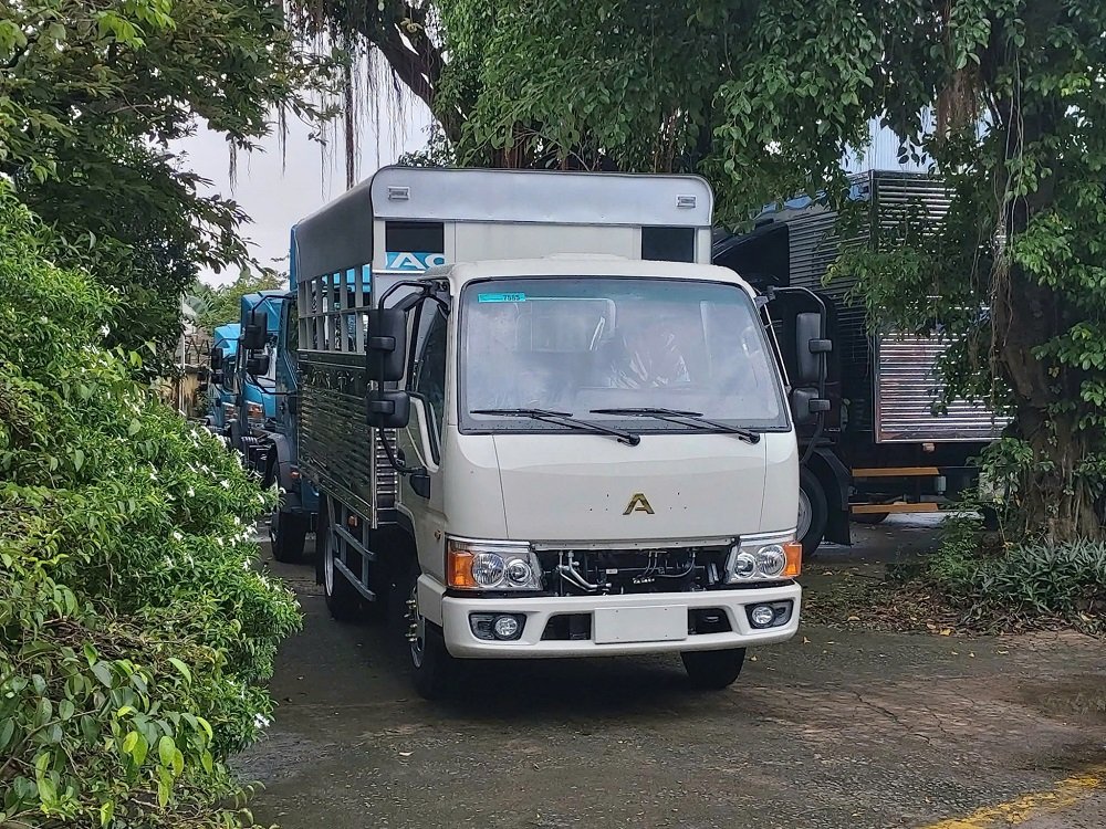 Lái xe tải cần bằng gì?